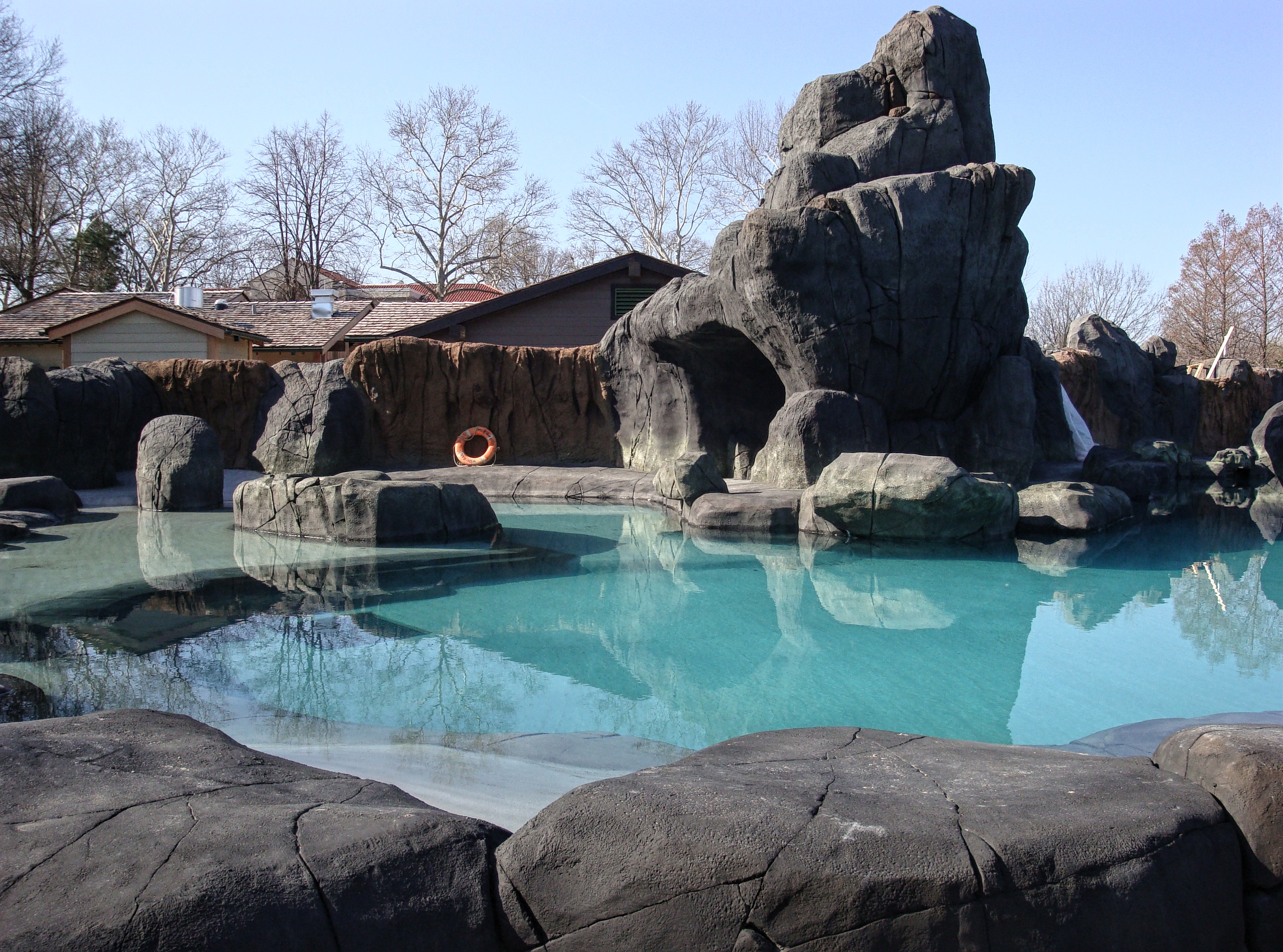 Sea Lion Sound - St. Louis Zoo - Raineri Materials